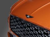 Bentley Andere bei Gebrauchtwagen.expert - Abbildung (14 / 15) Bentley Andere bei Gebrauchtwagen.expert - Abbildung (14 / 15)