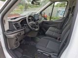 Ford Transit bei Gebrauchtwagen.expert - Abbildung (12 / 15)