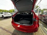 Mazda 6 bei Gebrauchtwagen.expert - Abbildung (6 / 15)
