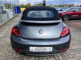 VW Beetle bei Gebrauchtwagen.expert - Abbildung (8 / 14)