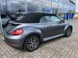 VW Beetle bei Gebrauchtwagen.expert - Abbildung (5 / 14)