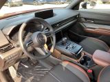Mazda MX-30 bei Gebrauchtwagen.expert - Abbildung (11 / 11)