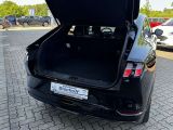 Ford Mustang Mach-E bei Gebrauchtwagen.expert - Abbildung (6 / 15)