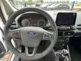 Ford EcoSport bei Gebrauchtwagen.expert - Abbildung (8 / 11)