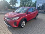 Kia Stonic bei Gebrauchtwagen.expert - Abbildung (13 / 15)