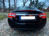 Jaguar XK bei Gebrauchtwagen.expert - Abbildung (6 / 15)