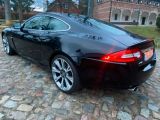 Jaguar XK bei Gebrauchtwagen.expert - Abbildung (7 / 15)