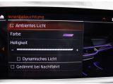 BMW X5 bei Gebrauchtwagen.expert - Abbildung (13 / 15)