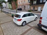 Mercedes-Benz B-Klasse bei Gebrauchtwagen.expert - Abbildung (11 / 15)