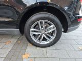 Audi Q5 bei Gebrauchtwagen.expert - Abbildung (12 / 15)