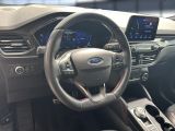 Ford Kuga bei Gebrauchtwagen.expert - Abbildung (10 / 15)