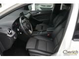 Mercedes-Benz B-Klasse bei Gebrauchtwagen.expert - Abbildung (7 / 15)
