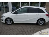 Mercedes-Benz B-Klasse bei Gebrauchtwagen.expert - Abbildung (6 / 15)