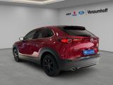 Mazda CX-30 bei Gebrauchtwagen.expert - Abbildung (4 / 14)