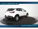 Opel Grandland X bei Gebrauchtwagen.expert - Abbildung (11 / 15)
