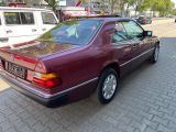 Mercedes-Benz 230 bei Gebrauchtwagen.expert - Abbildung (5 / 11)