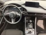 Mazda 3 bei Gebrauchtwagen.expert - Abbildung (13 / 15)