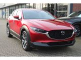 Mazda CX-30 bei Gebrauchtwagen.expert - Abbildung (7 / 15)