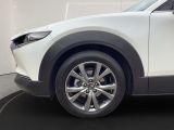 Mazda CX-30 bei Gebrauchtwagen.expert - Abbildung (9 / 15)