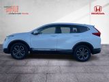 Honda CR-V bei Gebrauchtwagen.expert - Abbildung (3 / 15)