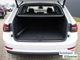 Skoda Superb bei Gebrauchtwagen.expert - Abbildung (13 / 15)