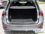 Skoda Octavia bei Gebrauchtwagen.expert - Abbildung (13 / 15)