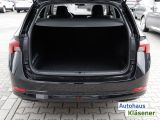 Skoda Octavia bei Gebrauchtwagen.expert - Abbildung (13 / 15)