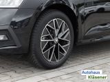 Skoda Octavia bei Gebrauchtwagen.expert - Abbildung (11 / 15)