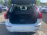 Volvo XC60 bei Gebrauchtwagen.expert - Abbildung (13 / 15)