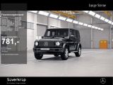 Mercedes-Benz G-Klasse bei Gebrauchtwagen.expert - Abbildung (10 / 15)