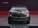 Mazda 2 bei Gebrauchtwagen.expert - Abbildung (4 / 15)