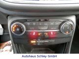 Ford Puma bei Gebrauchtwagen.expert - Abbildung (13 / 15)