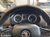 Skoda Octavia bei Gebrauchtwagen.expert - Abbildung (13 / 15)