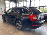 Skoda Octavia bei Gebrauchtwagen.expert - Abbildung (6 / 15)