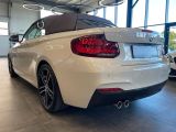BMW Cabrio Sport bei Gebrauchtwagen.expert - Abbildung (5 / 15)
