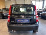 Fiat Panda bei Gebrauchtwagen.expert - Abbildung (5 / 15)
