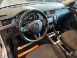 Skoda Octavia bei Gebrauchtwagen.expert - Abbildung (10 / 15)