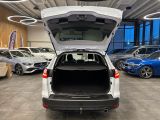 Ford Focus Turnier bei Gebrauchtwagen.expert - Abbildung (15 / 15)