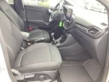 Ford Puma bei Gebrauchtwagen.expert - Abbildung (13 / 14)