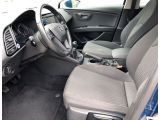 Seat Leon bei Gebrauchtwagen.expert - Abbildung (6 / 15)
