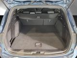 Ford Focus ST bei Gebrauchtwagen.expert - Abbildung (13 / 15)