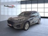 Ford Kuga bei Gebrauchtwagen.expert - Abbildung (2 / 15)