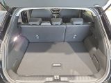 Ford Puma bei Gebrauchtwagen.expert - Abbildung (13 / 15)