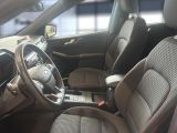 Ford Kuga bei Gebrauchtwagen.expert - Abbildung (7 / 15)