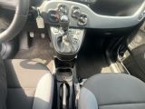 Fiat Panda bei Gebrauchtwagen.expert - Abbildung (14 / 15)