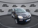 Fiat Panda bei Gebrauchtwagen.expert - Abbildung (8 / 15)