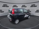 Fiat Panda bei Gebrauchtwagen.expert - Abbildung (6 / 15)