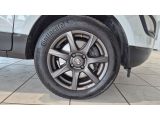 Ford EcoSport bei Gebrauchtwagen.expert - Abbildung (15 / 15)