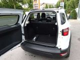 Ford EcoSport bei Gebrauchtwagen.expert - Abbildung (7 / 15)