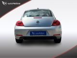 VW Beetle bei Gebrauchtwagen.expert - Abbildung (8 / 14)